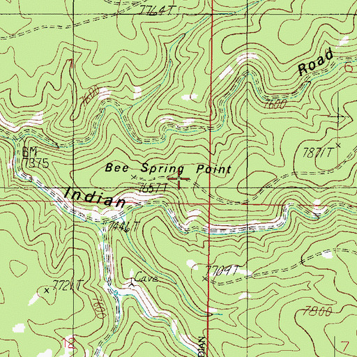 Topographic Map of Bee Spring Point, AZ