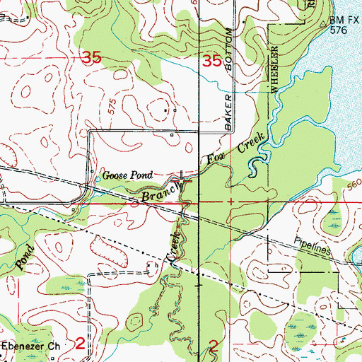 Topographic Map of Fish Pond Branch, AL