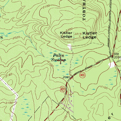Topographic Map of Palen Swamp, PA