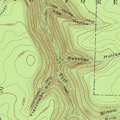 Topographic Map of Panther Hollow, PA