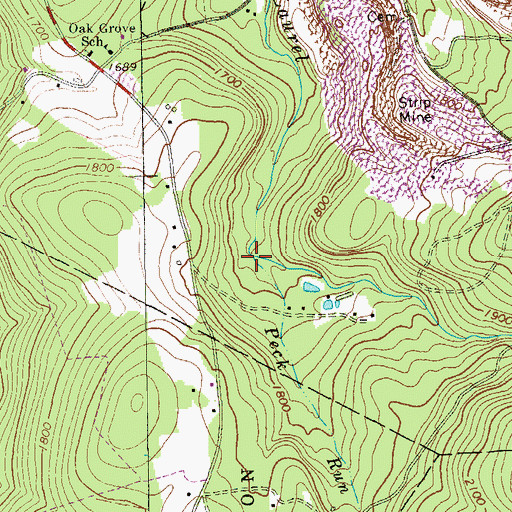 Topographic Map of Peck Run, PA