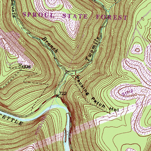 Topographic Map of Pecking Patch Hollow, PA