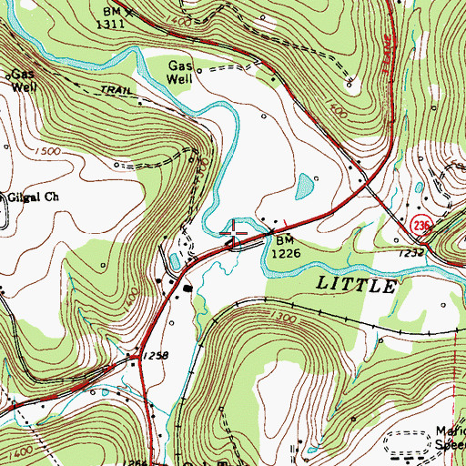 Topographic Map of Pickering Run, PA