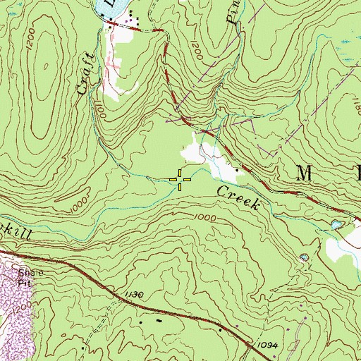 Topographic Map of Pinchot Brook, PA