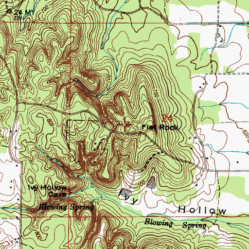 Topographic Map of Flat Rock, AL
