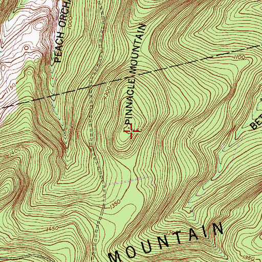 Topographic Map of Pinnacle Mountain, PA