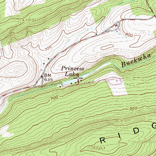 Topographic Map of Princess Lake, PA
