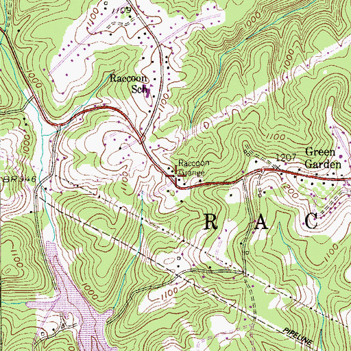 Topographic Map of Raccoon Grange, PA