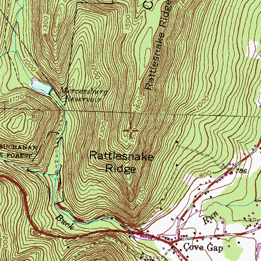 Topographic Map of Rattlesnake Ridge, PA