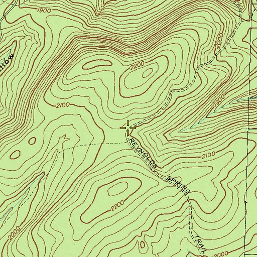 Topographic Map of Reynolds Spring Trail, PA