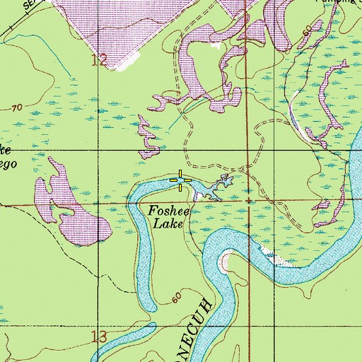 Topographic Map of Foshee Lake, AL