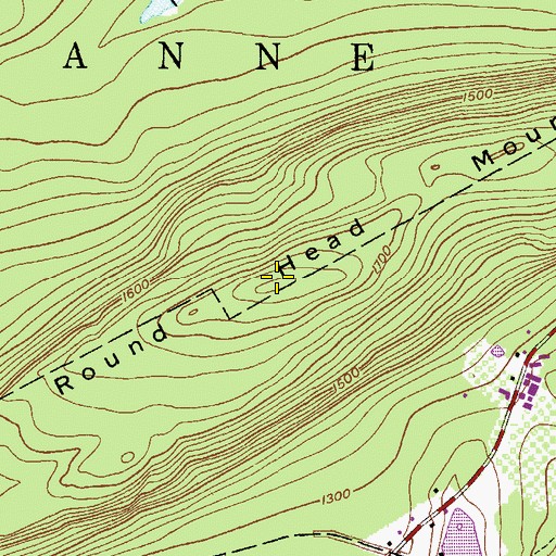 Topographic Map of Round Head Mountain, PA