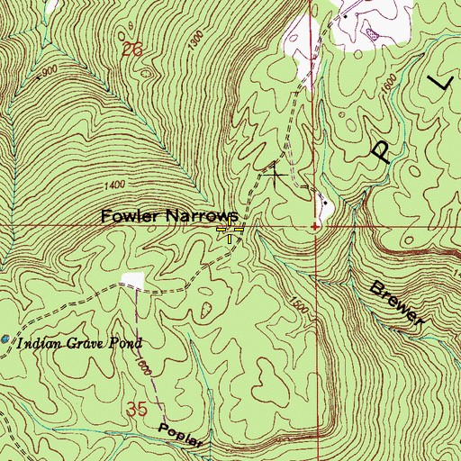 Topographic Map of Fowler Narrows, AL