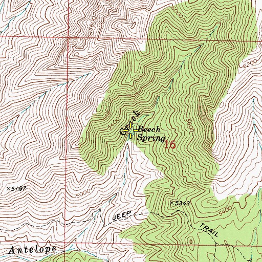 Topographic Map of Beech Spring, AZ