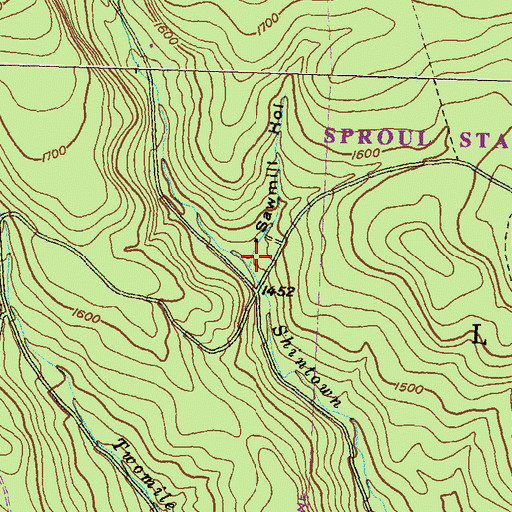 Topographic Map of Sawmill Hollow, PA