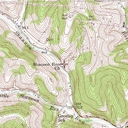 Topographic Map of Shannon Run Church, PA