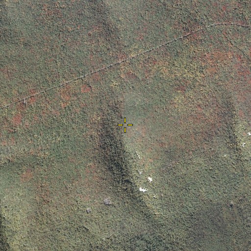 Aerial/Satellite Image of Shellenberger Gap, PA