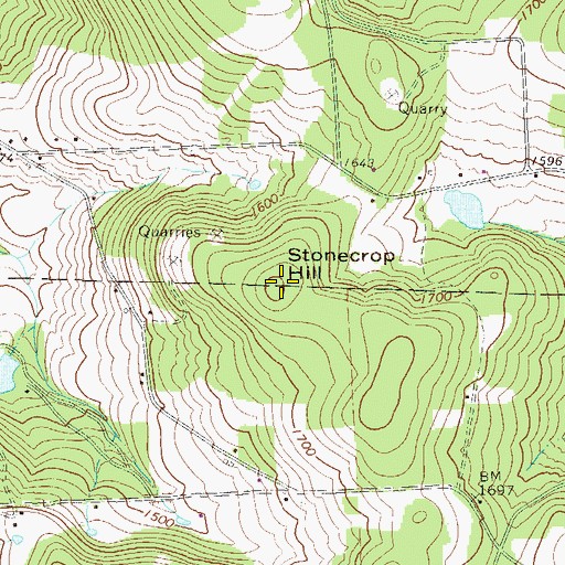 Topographic Map of Stonecrop Hill, PA