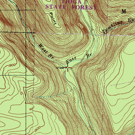 Topographic Map of Stony Fork, PA