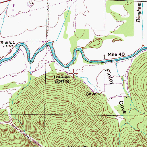 Topographic Map of Gilliam Spring, AL