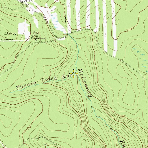 Topographic Map of Turnip Patch Run, PA