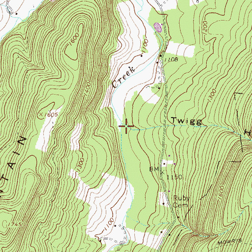 Topographic Map of Twigg Hollow, PA
