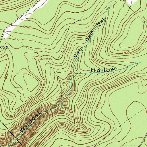 Topographic Map of Twin Dam Hollow, PA