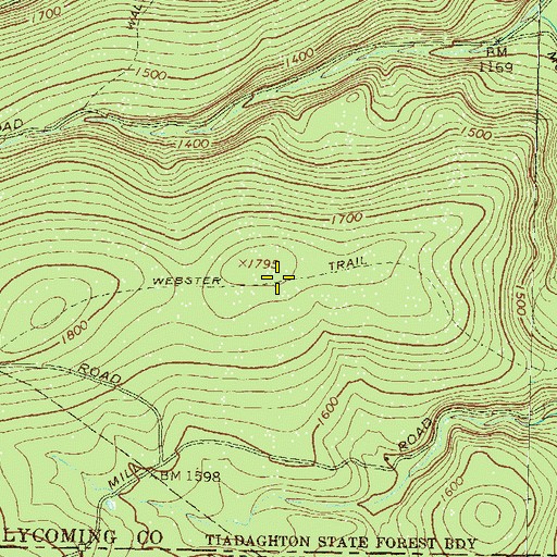 Topographic Map of Webster Trail, PA