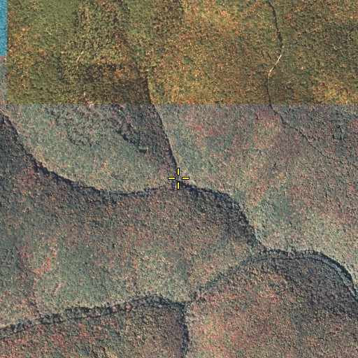Aerial/Satellite Image of Welch Hollow, PA