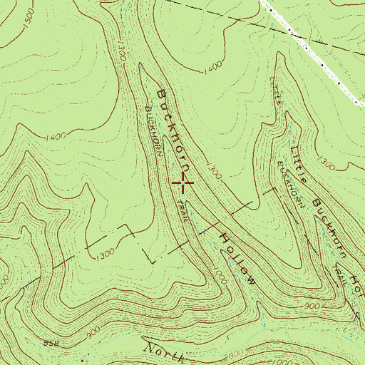 Topographic Map of Buckhorn Trail, PA
