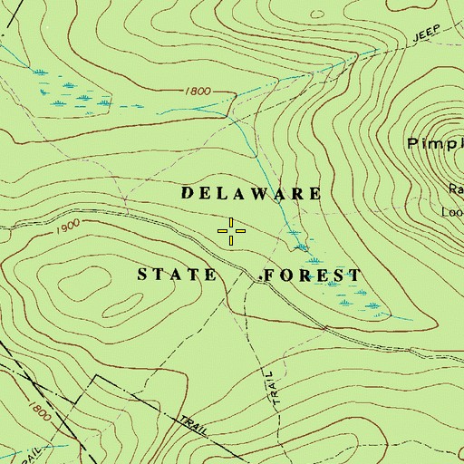 Topographic Map of Delaware-Lehigh State Experimental Forest, PA