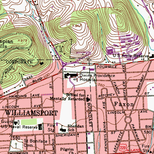 Topographic Map of Divine Providence Hospital, PA
