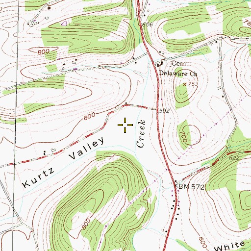 Topographic Map of Kurtz Valley, PA