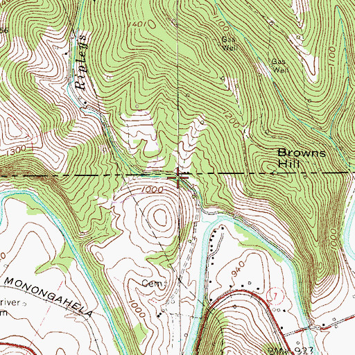 Topographic Map of Ripleys Run, PA