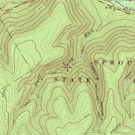 Topographic Map of Salt Lick Trail, PA