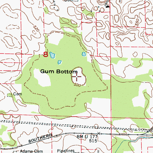 Topographic Map of Gum Bottom, AL