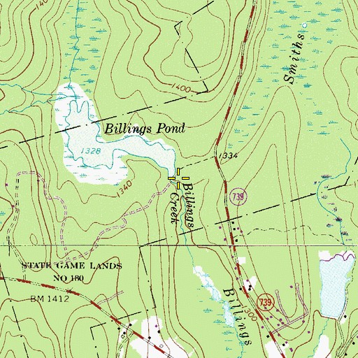 Topographic Map of Billings Pond Dam, PA