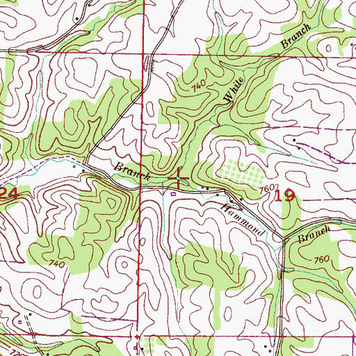 Topographic Map of Hammond Branch, AL