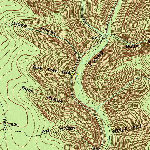 Topographic Map of Bee Tree Hollow, PA