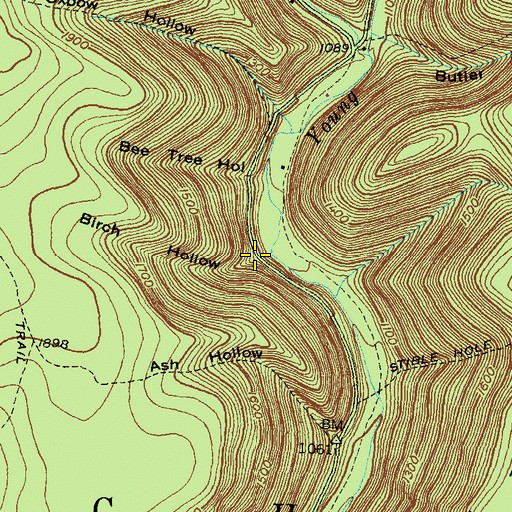 Topographic Map of Birch Hollow, PA