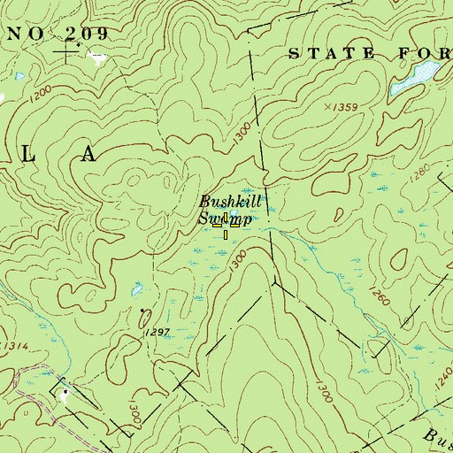 Topographic Map of Bushkill Swamp, PA
