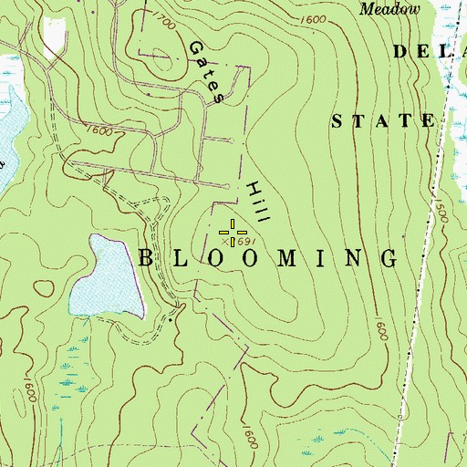 Topographic Map of Gates Hill, PA
