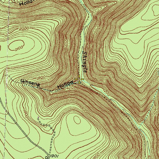 Topographic Map of Ginseng Hollow, PA