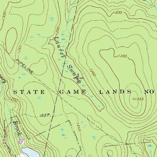 Topographic Map of Laurel Swamp, PA