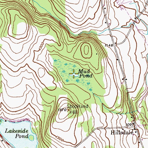 Topographic Map of Mud Pond, PA