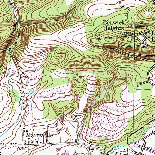 Topographic Map of WBRX-AM (Berwick), PA