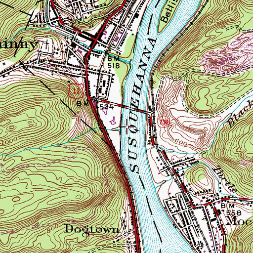 Topographic Map of Paddy Run, PA