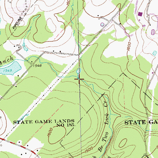Topographic Map of Bakers Run, PA