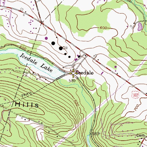 Topographic Map of Icedale, PA