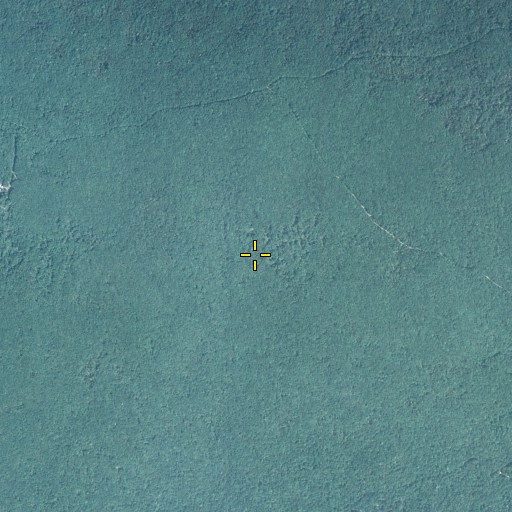 Aerial/Satellite Image of Muncy Point Trail, PA